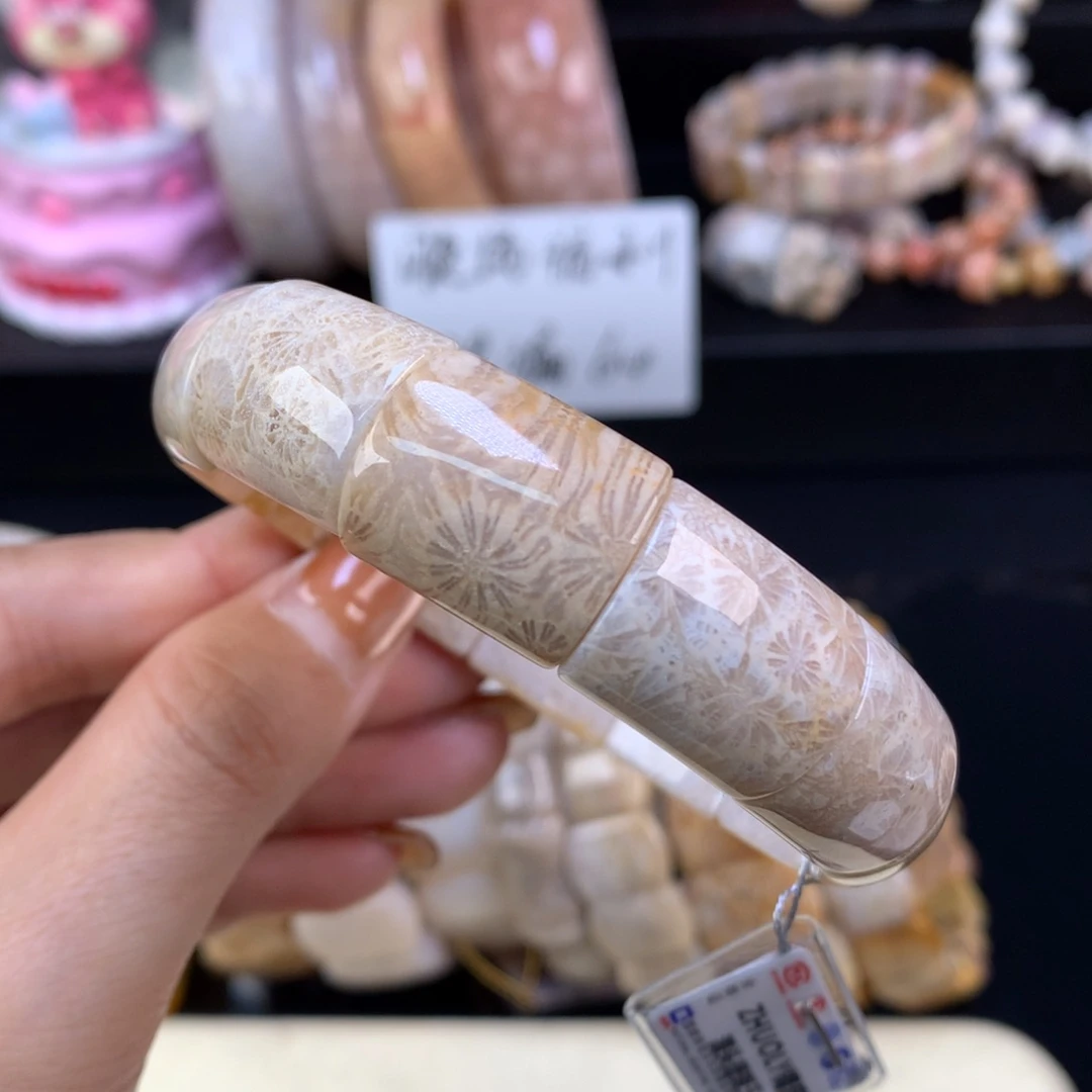 硅化珊瑚（珊瑚玉）未镶嵌颈饰晚场漏价手牌（54号）