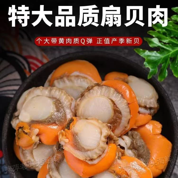 扇贝肉新鲜冷冻特级大号带黄带膏商用海鲜水产红贝批发黄蚬子鲜活