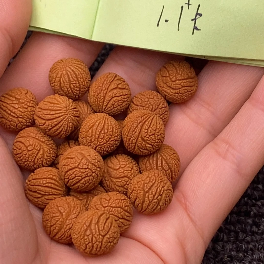 秦岭山脉龙纹桃核 21