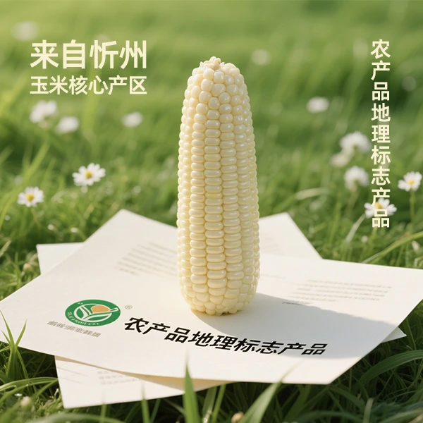 高品质白糯水果冰淇淋玉米香甜软糯真空包装新鲜营养山姆同款