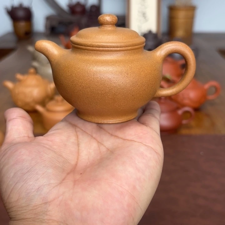 茶壶紫砂掇只150毫升黄金段