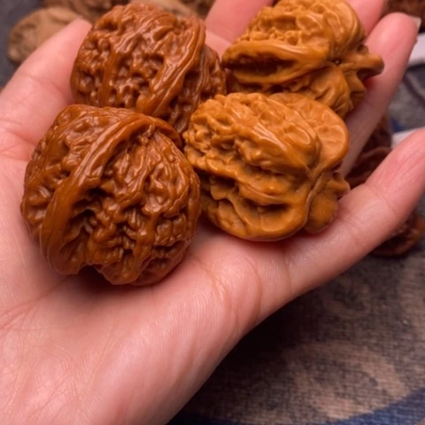 把件文玩核桃     白狮子