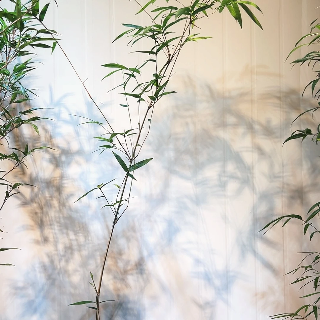 无花朵希*儿琴丝竹777777