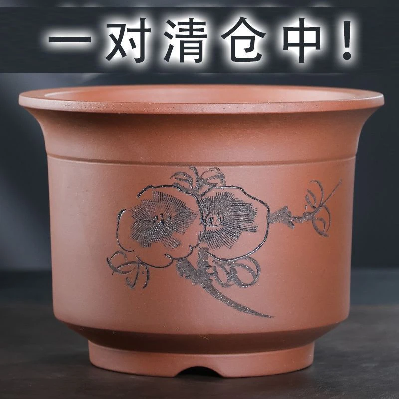 宜兴紫砂花盆兰花君子兰专用花盆蝴蝶兰绿萝陶瓷花盆大号特