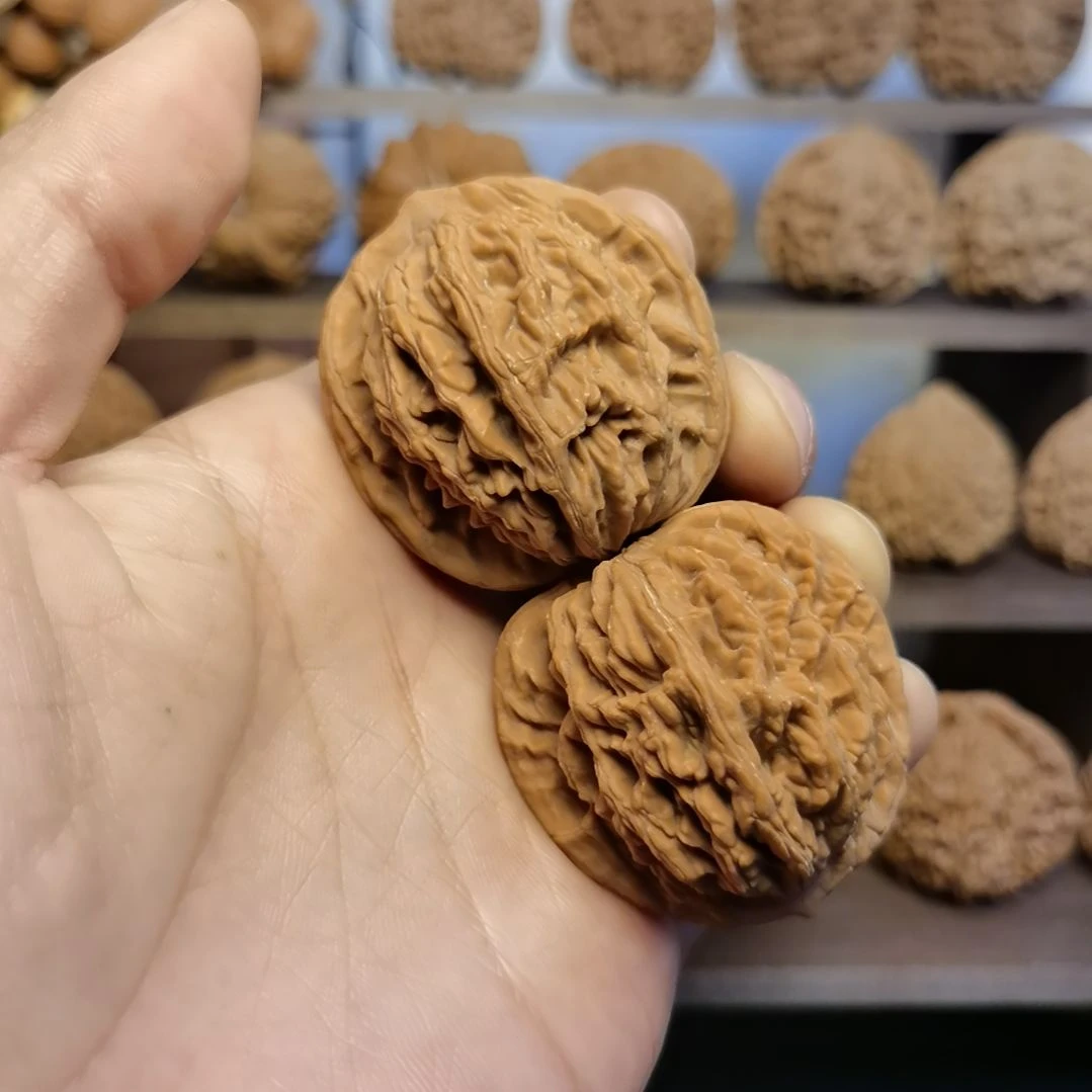 文玩核桃把件42全品麦虎
