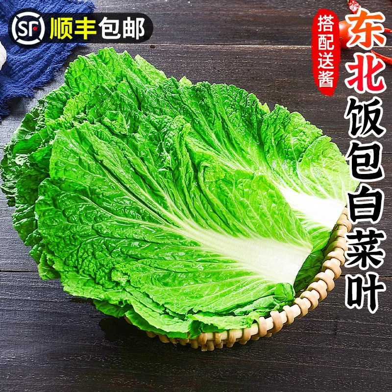 【顺丰包邮】东北饭包大白菜叶子20/40片打饭包即食蘸酱菜新鲜蔬菜