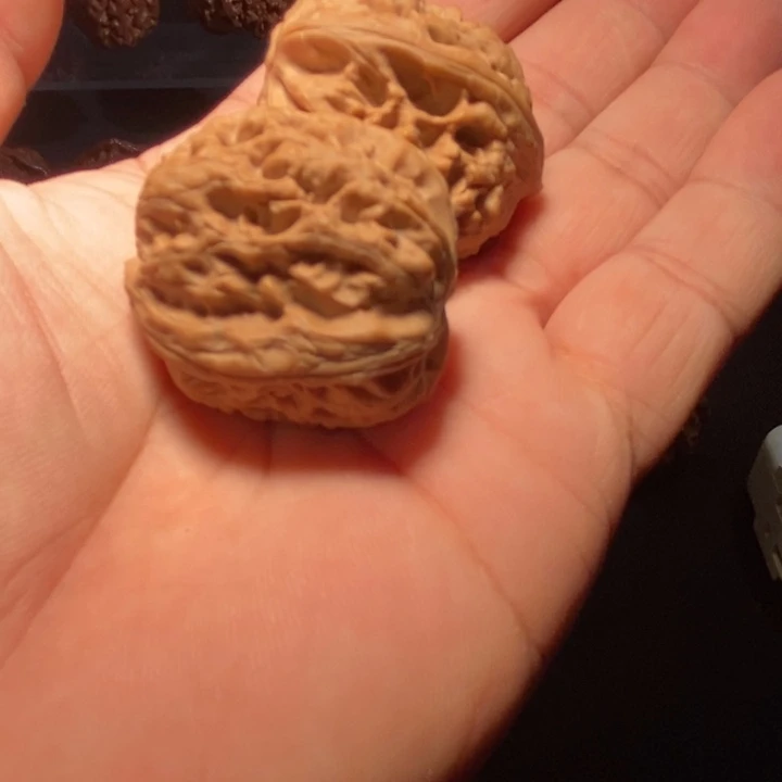 大叶紫檀（黑酸枝木类）