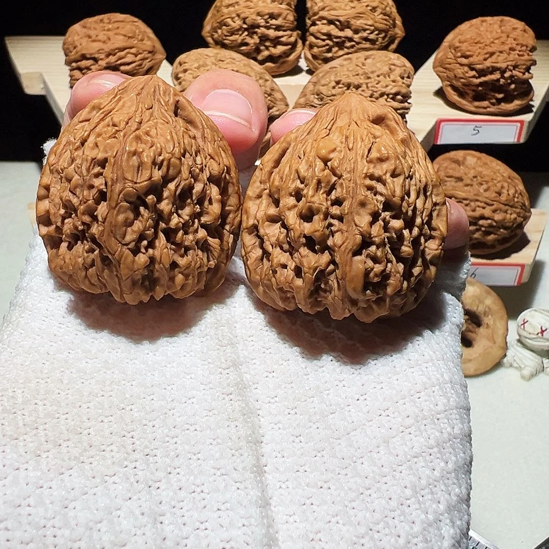 品***正宗涿鹿老树南将石