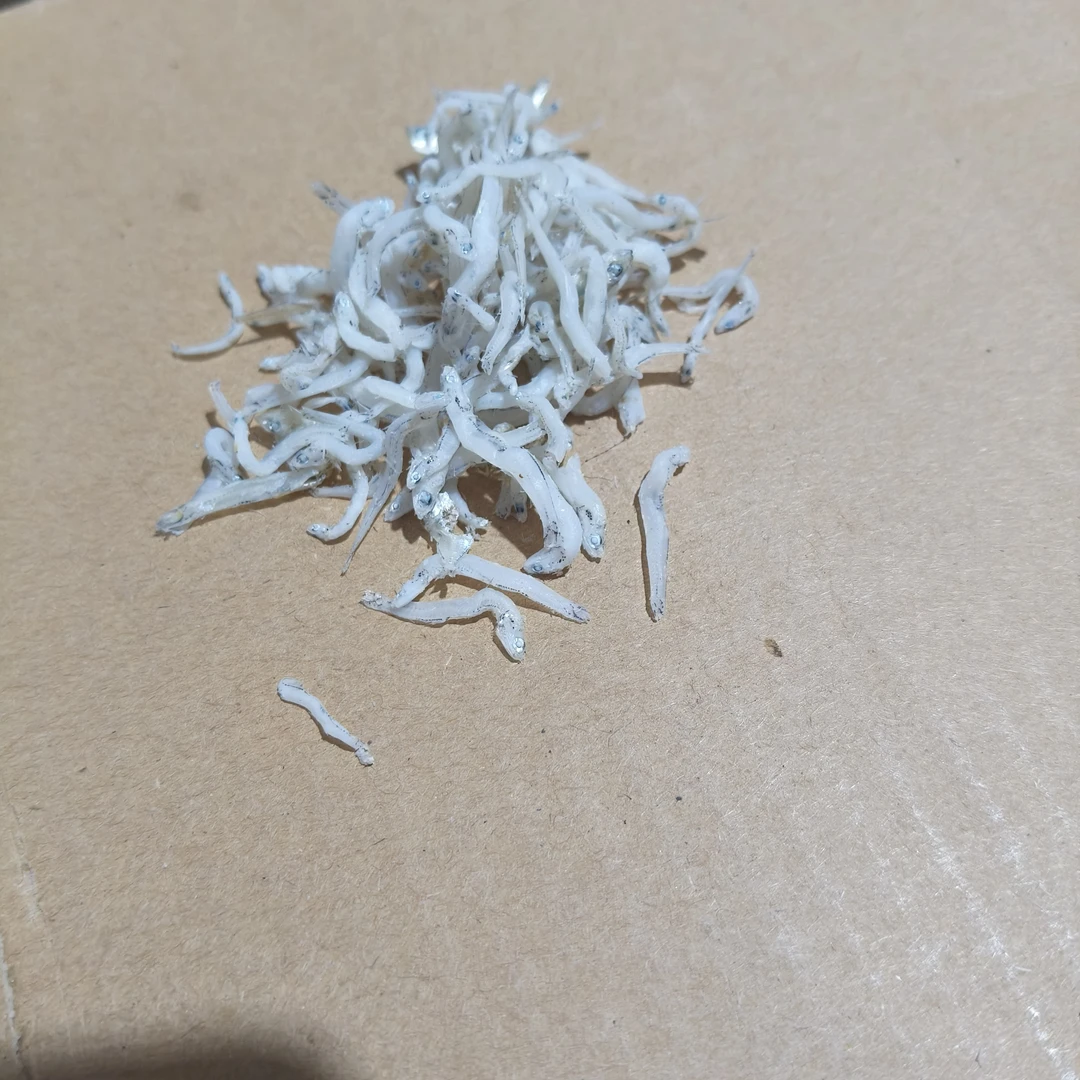 渔民自晒的无沙无骨无刺干净新鲜美味的丁香鱼小银鱼干
