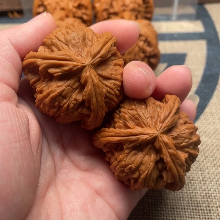 C***_核桃白狮子42核桃