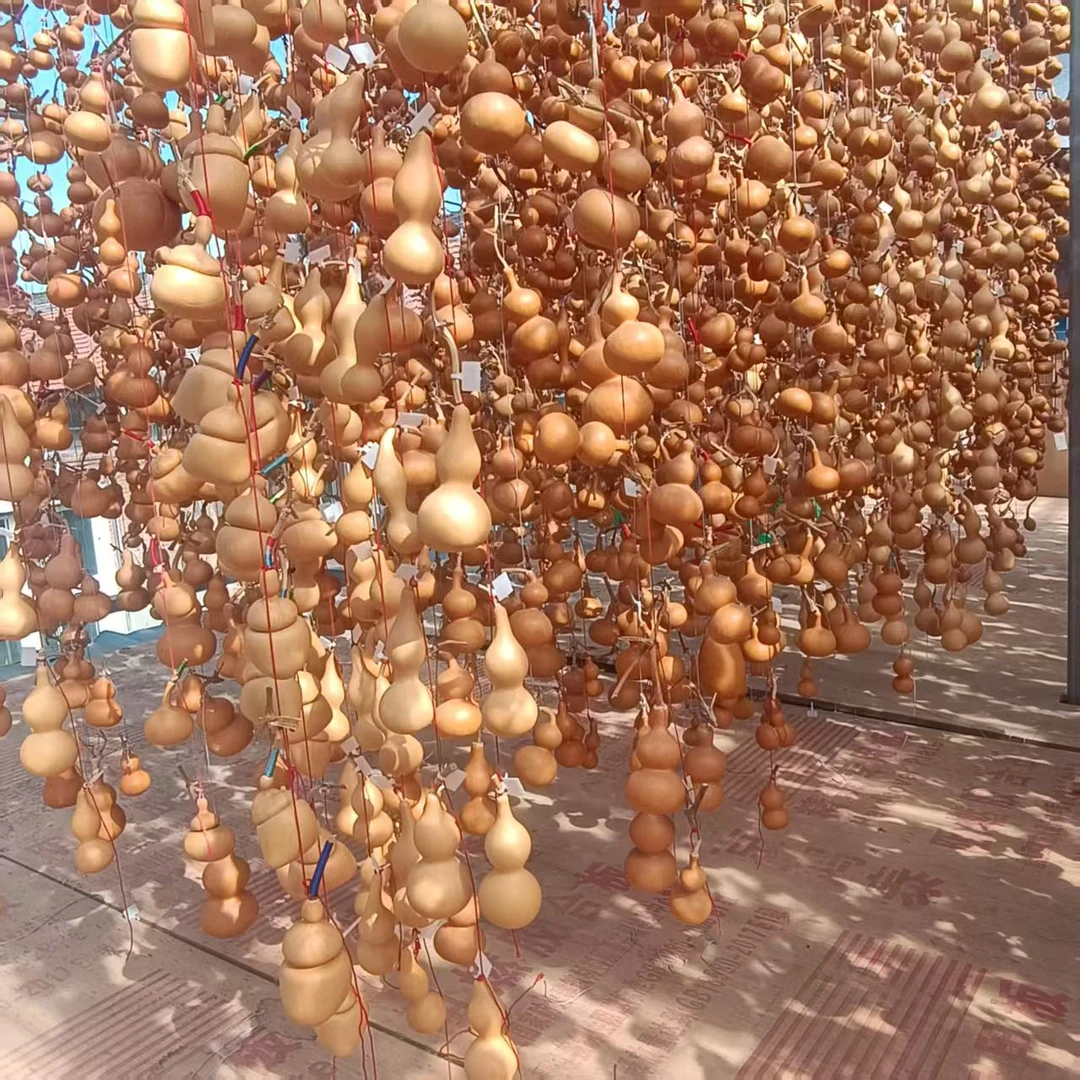 天然晒红老葫芦家居摆件手把件