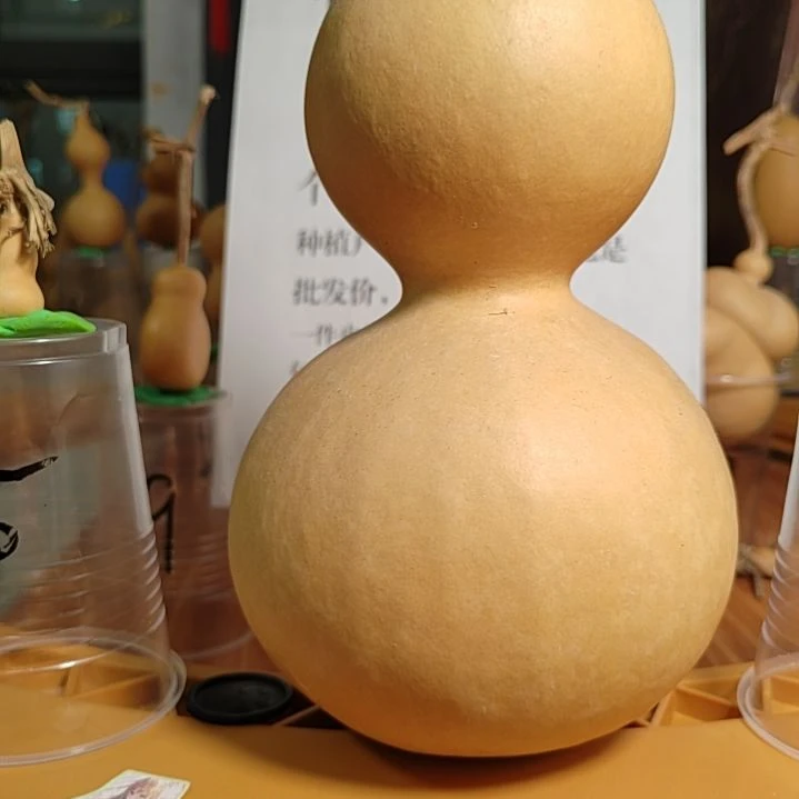 55号自助下单了吗？？？