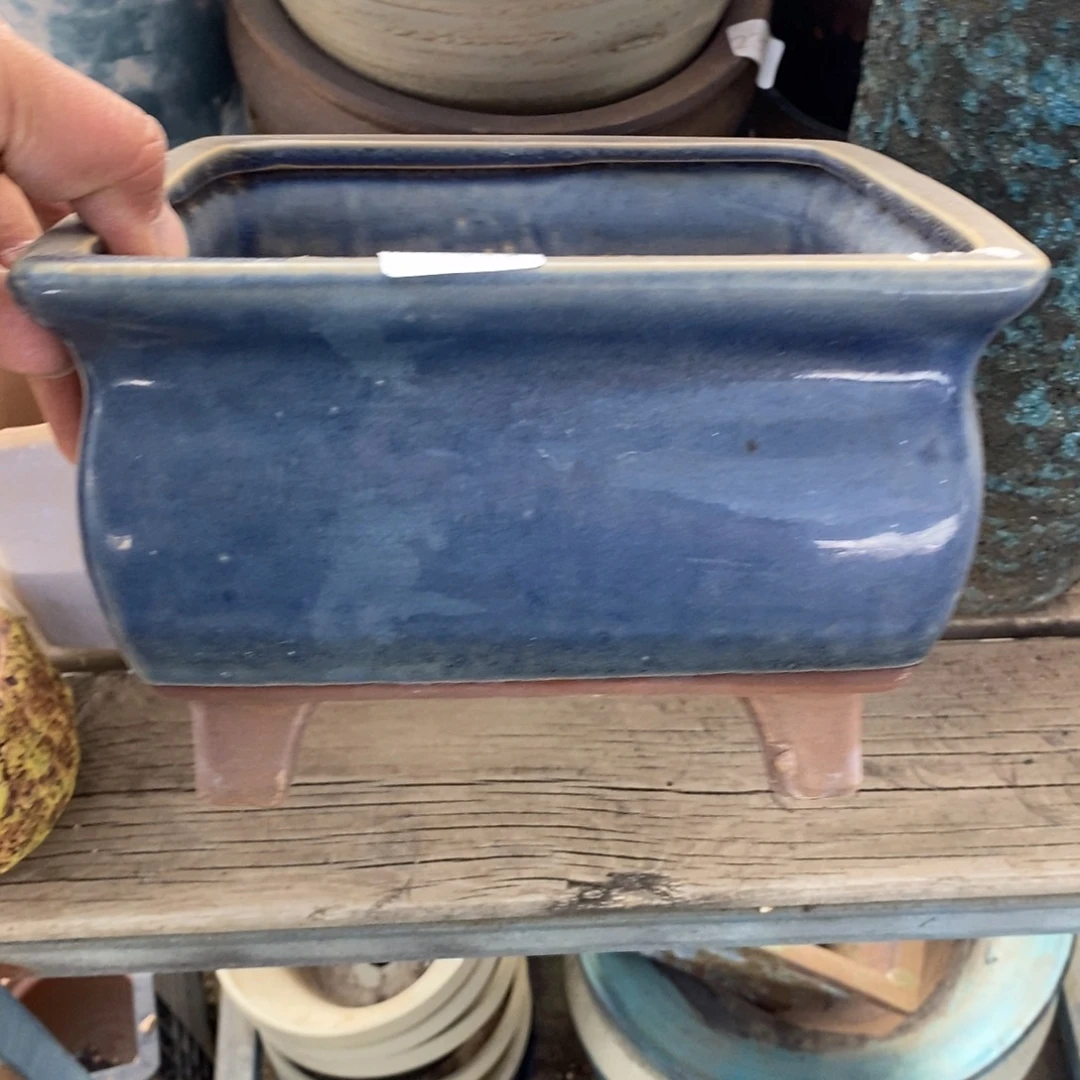 83号花盆内13高18