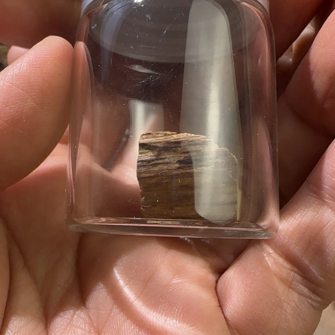 【闪购商品】沉香沉香碎屑奇楠级别文莱黑奇1#