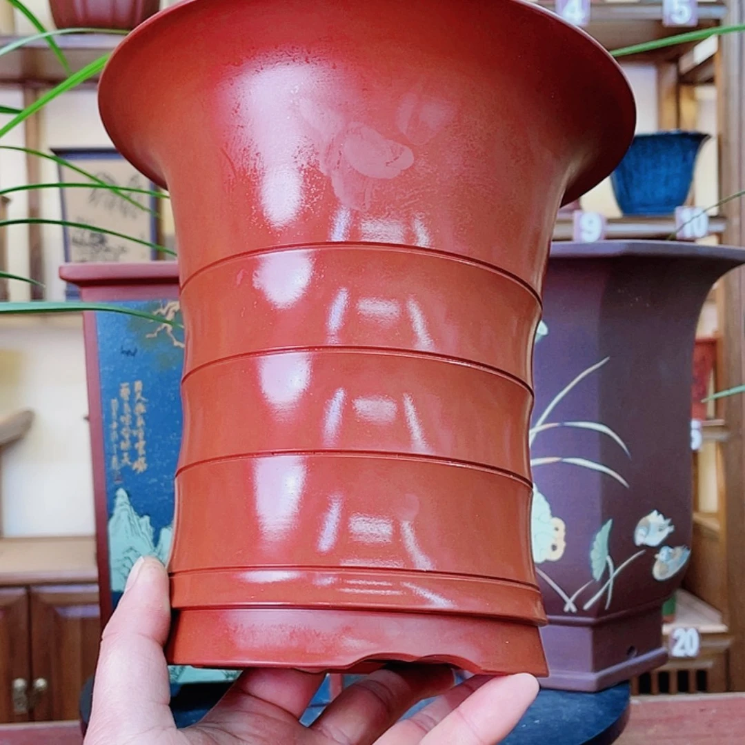 【闪购商品】紫砂花盆圆*兰花755555665555444444