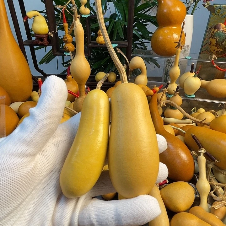 L***i藤手把葫芦精品系列20