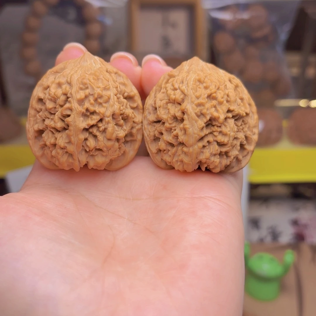 满天星狮子头四十尺