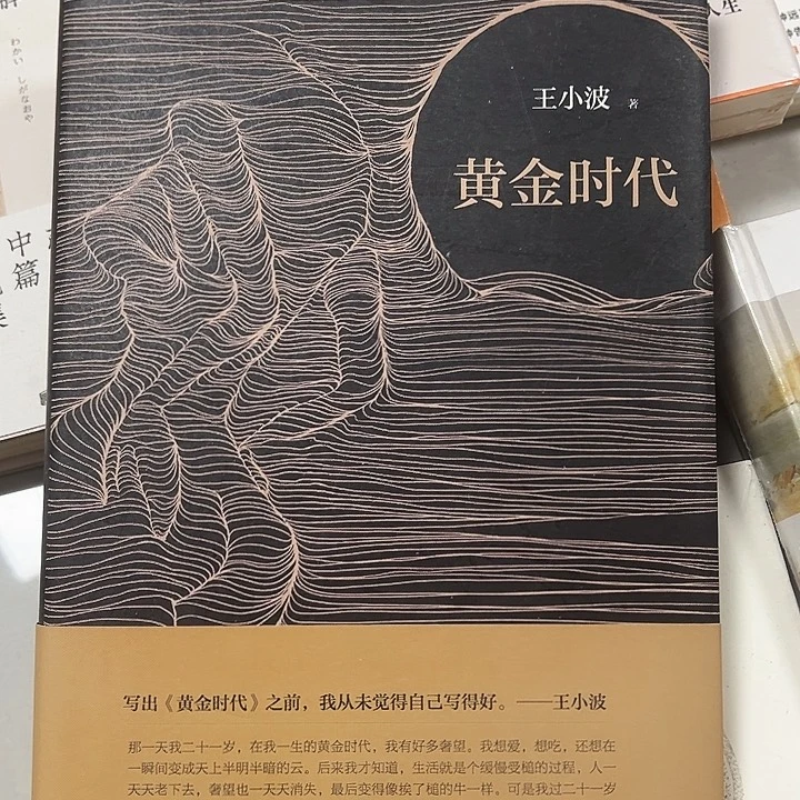 仅一件没塑封精装的