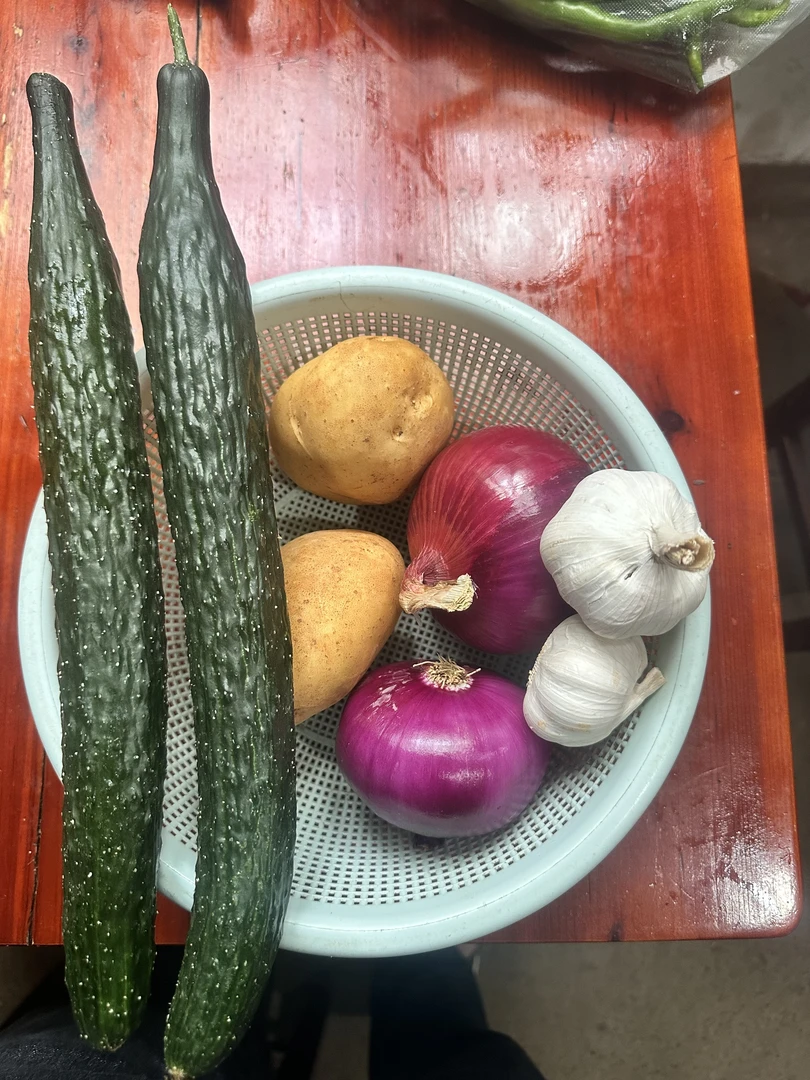 蔬菜组合黄瓜土豆洋葱