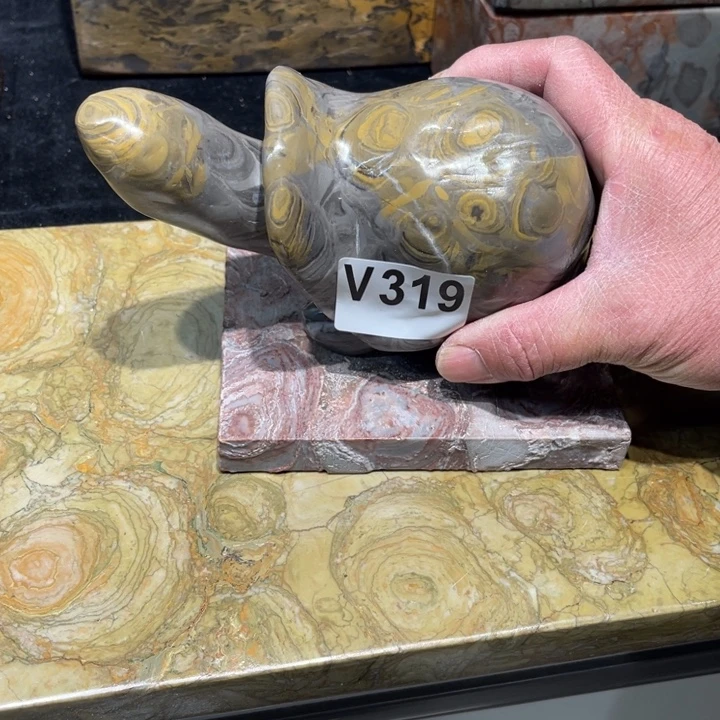 纯***们金钱乌龟乌龟乌龟