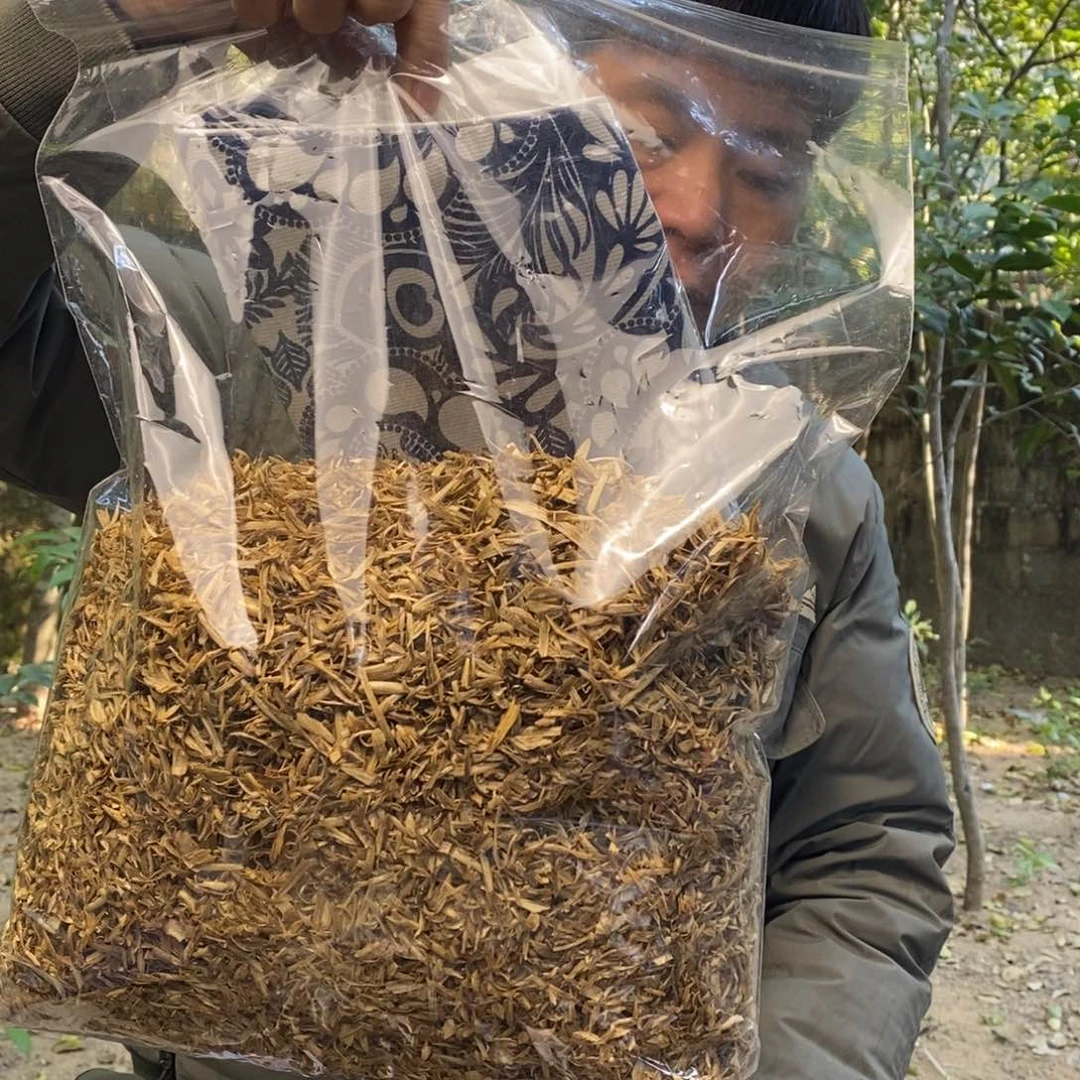 沉香沉香枕用****9多样性发一