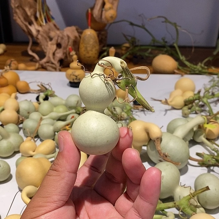 器**间精品葫芦手把葫芦12