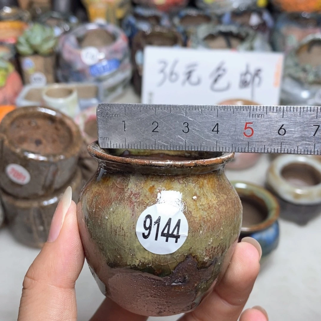 拍5送一个小礼物