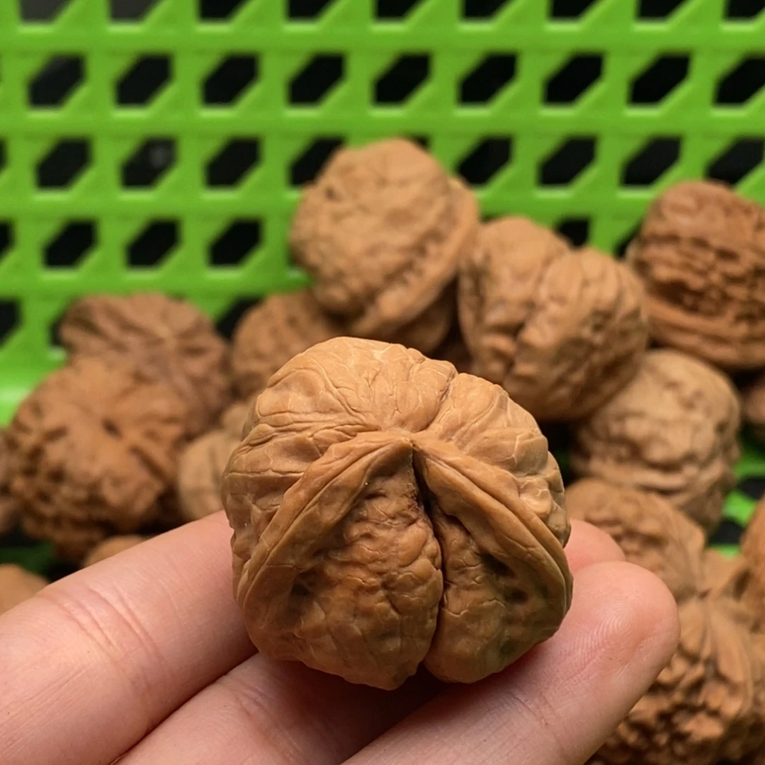 話***叽核桃定制商品不退不换