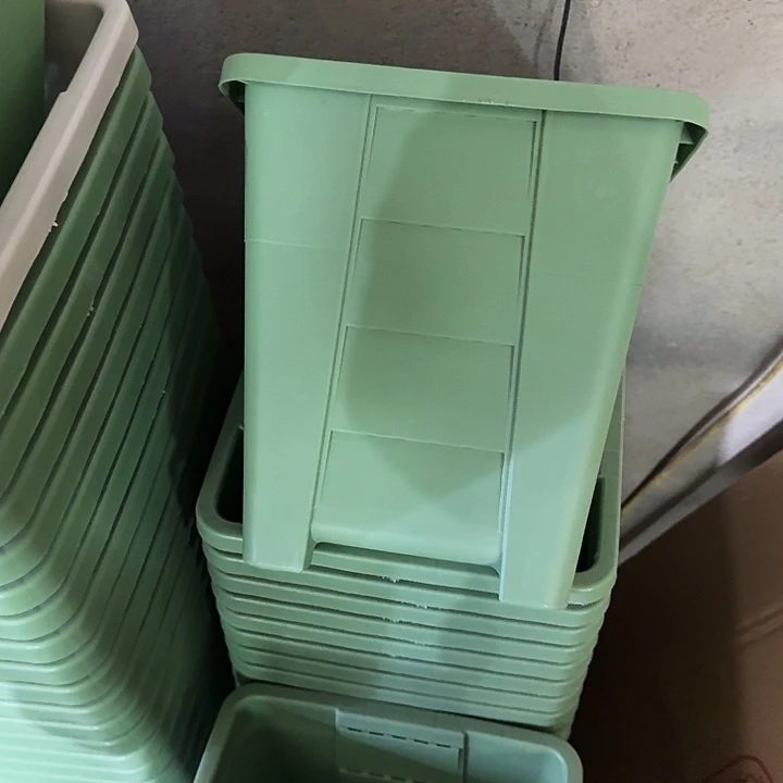 编号303果绿无托6个