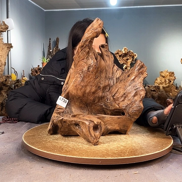 茶盏黑****城739株木的随行的根艺