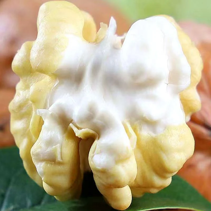 【川渝次日达】大凉山核桃人工去皮新鲜上市四川省