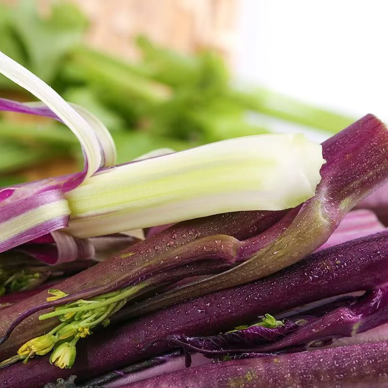 云南新鲜菜苔红菜苔新鲜现摘现发当季新鲜蔬菜产地直销好吃家常