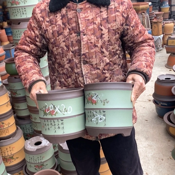 紫砂花盆盆栽花卉苗木种植