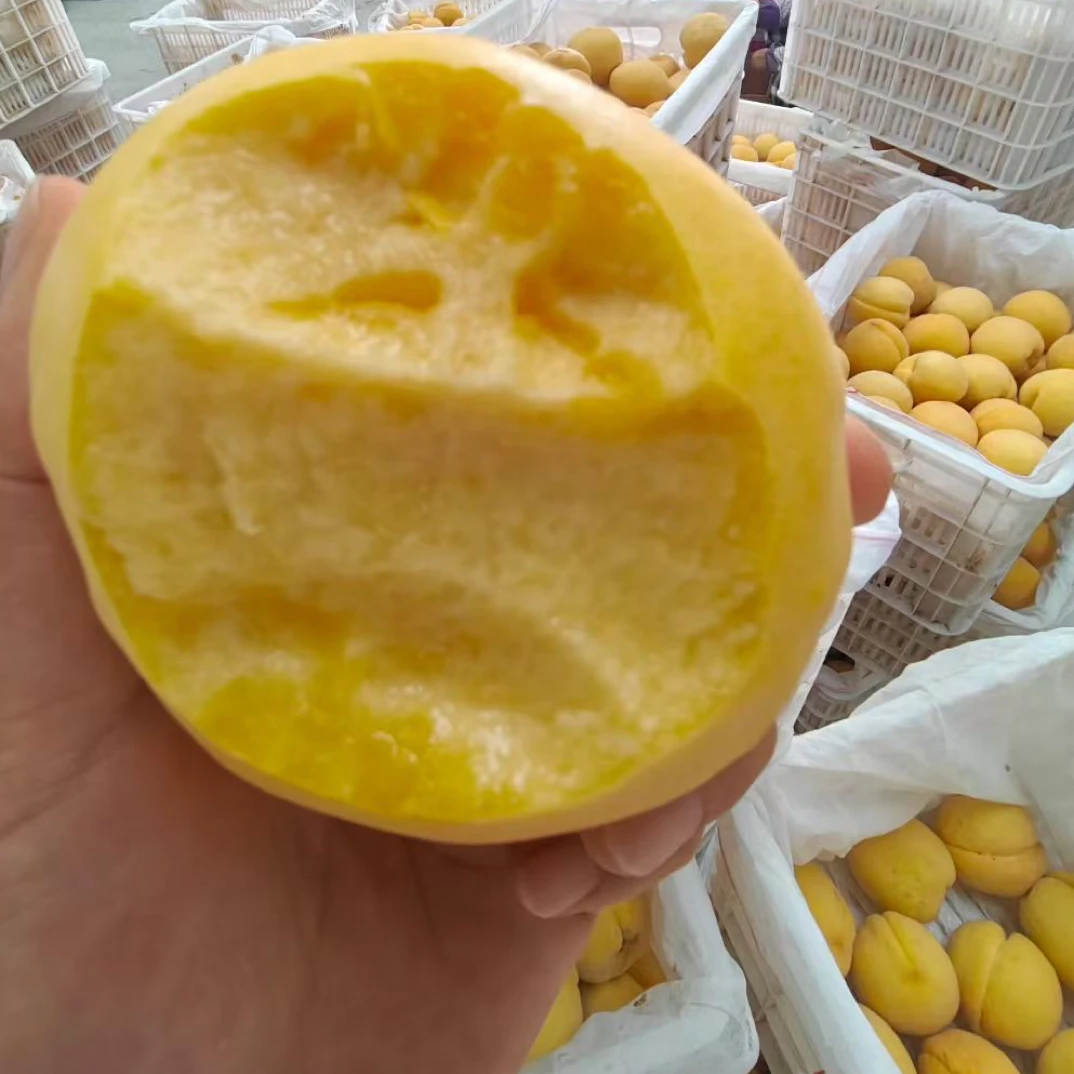 陕西黄金蜜黄桃现摘现发当季新鲜桃子水果孕妇大果毛桃整箱批发