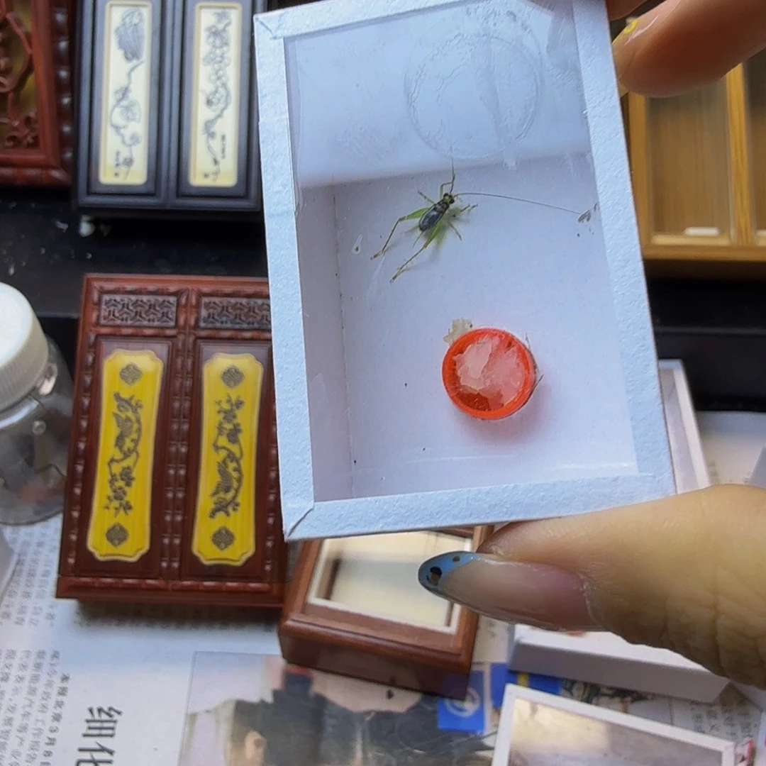 哈哈哈哈哈哈哈哈哈