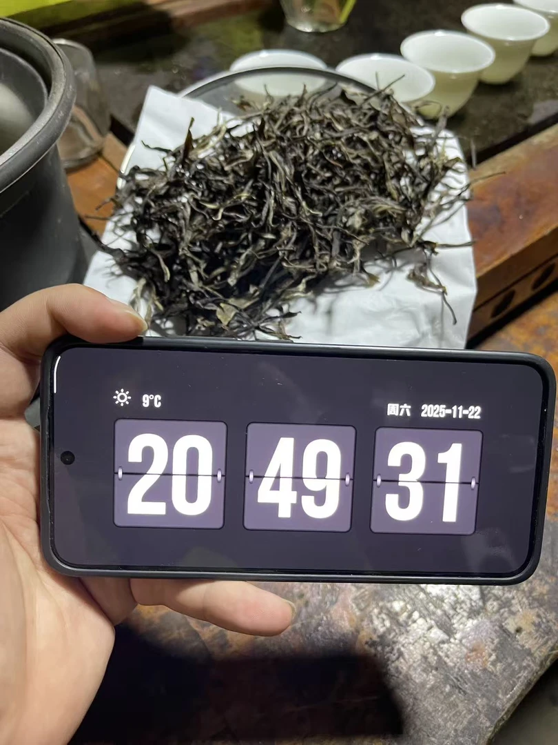 P2  2025年帕沙阿飘亚古树春茶  散茶 普洱茶  25/11/21