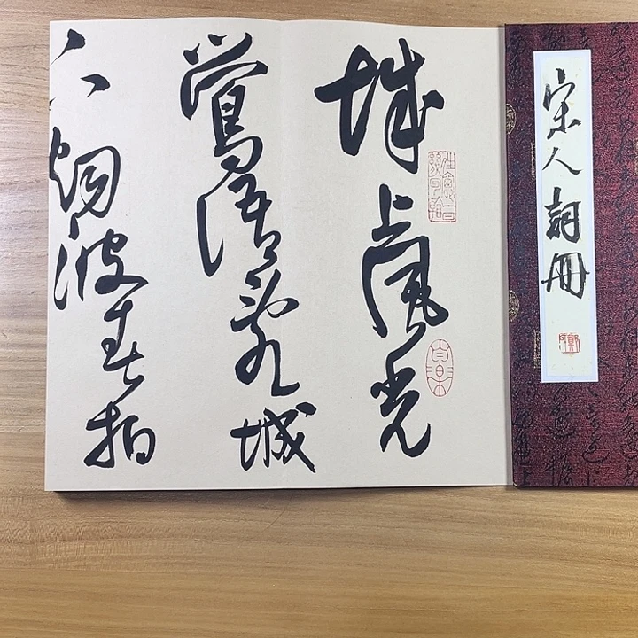 书法中书协会员作品