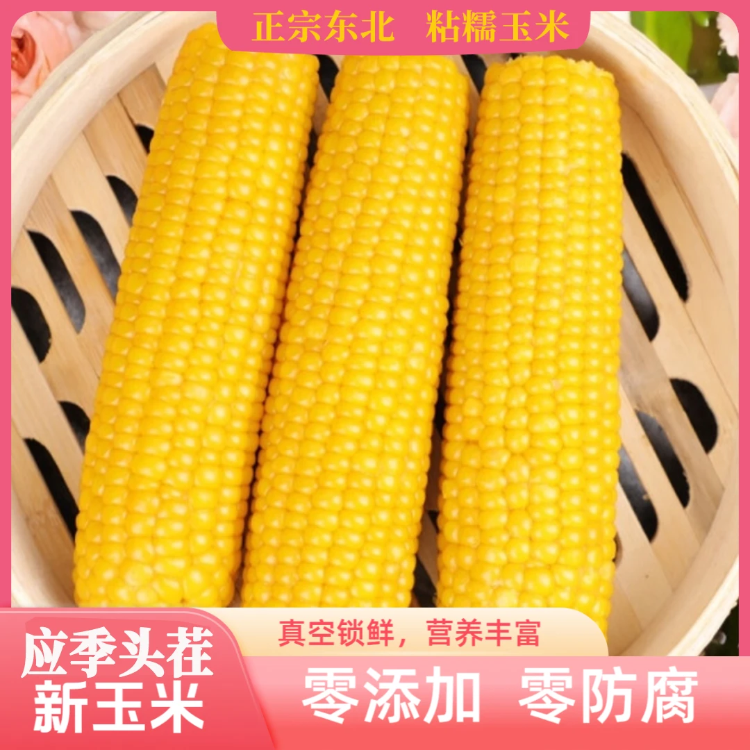 【可试吃】甜糯东北黄甜糯玉米棒香甜新鲜营养铝箔包装特大