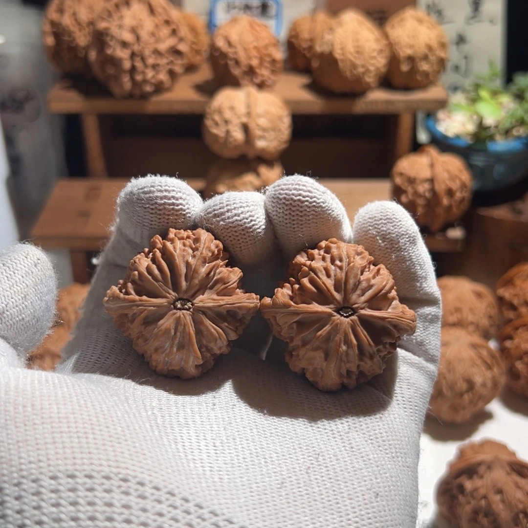 w***核桃全品无修 38-  红皮山地磨