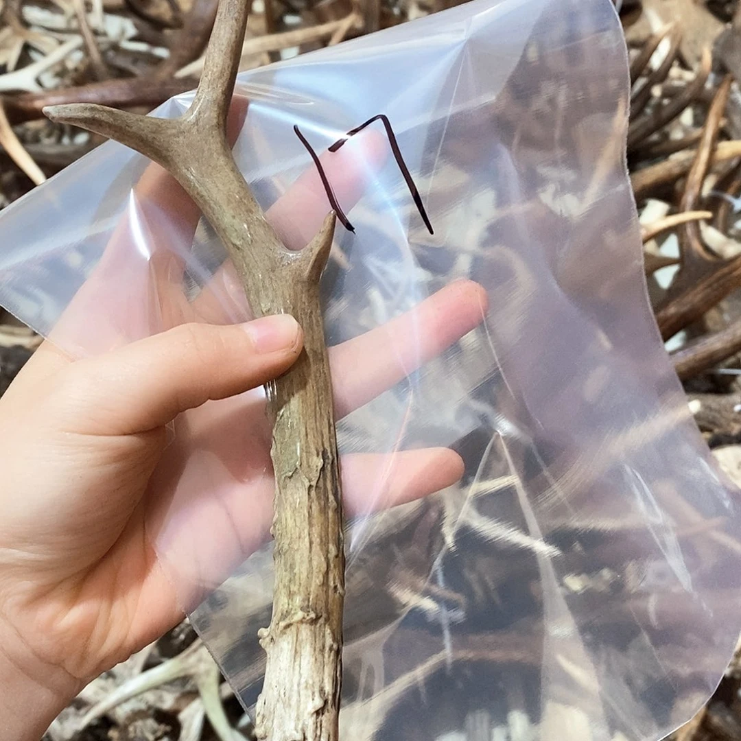 鹿角鹿角鹿角鹿面鹿