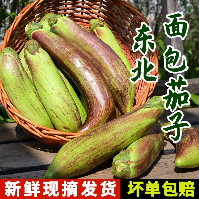 东北特产 花茄子 面包茄子 新鲜采摘包邮到家 大小不一