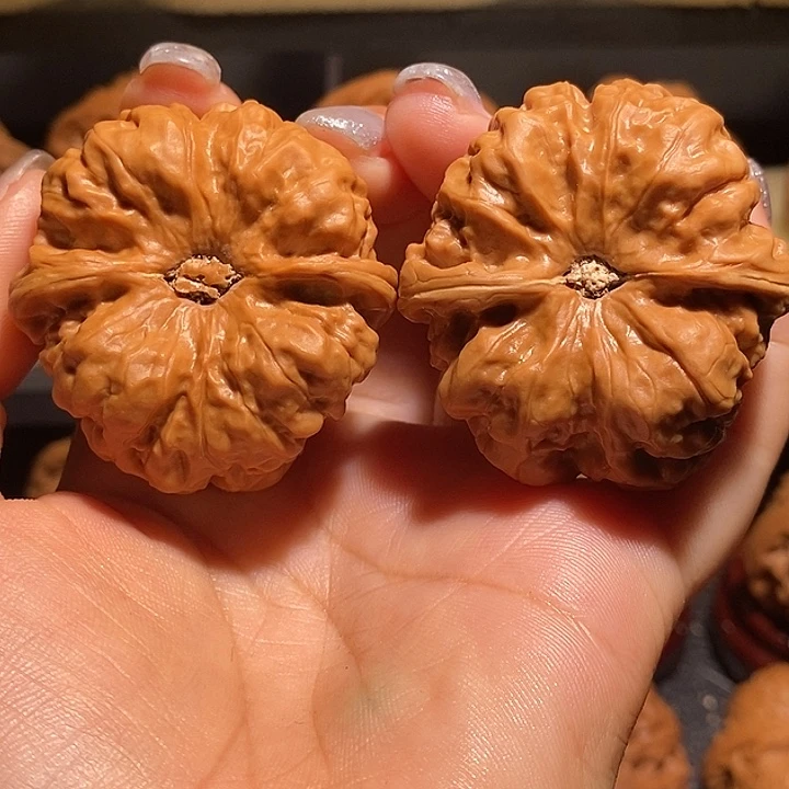 文玩核桃把件用****742蛤蟆头