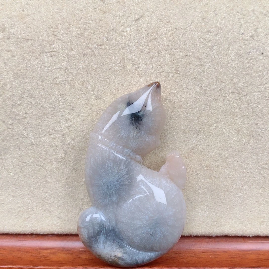 硅化玉珊瑚玉未镶嵌