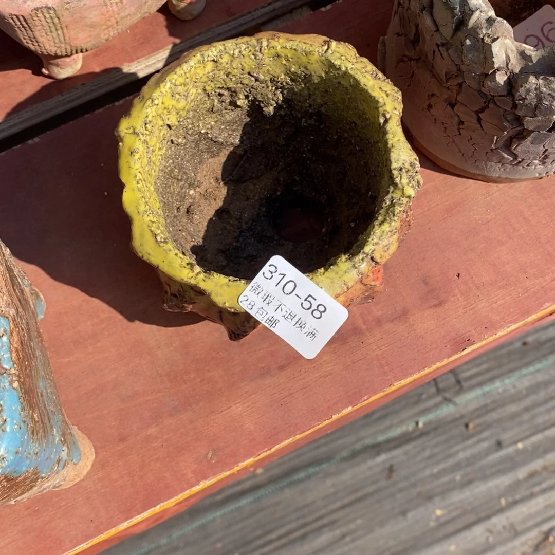 红陶盛*?58号多肉盆一个呀