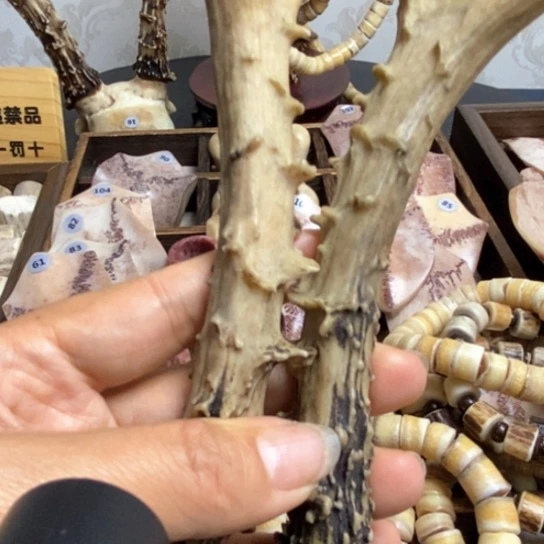 手串/手链鹿骨养殖鹿鹿角手把件