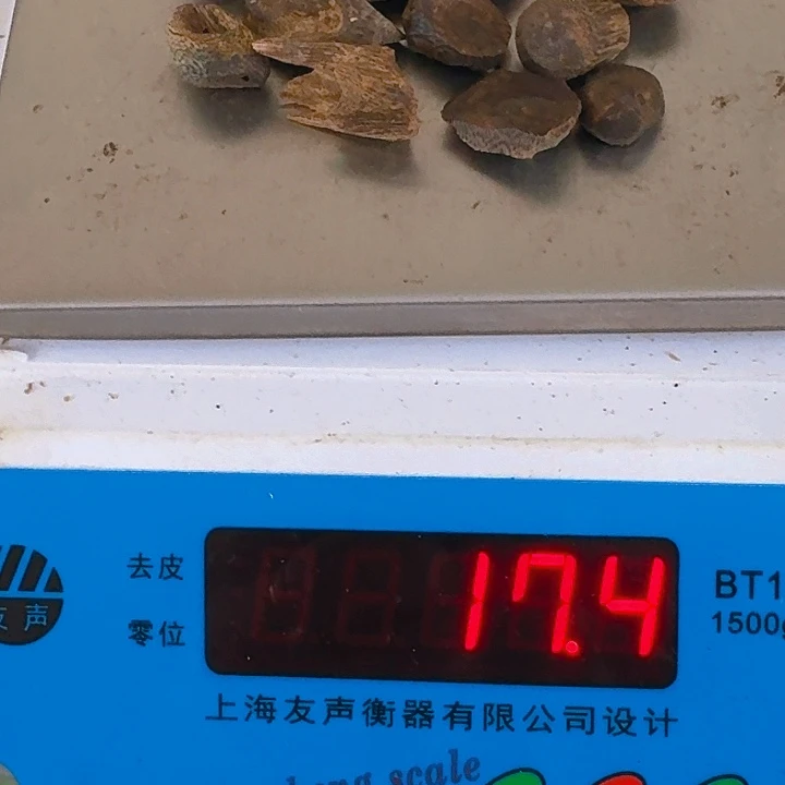 木开****己手工艺/非遗... 雕塑工艺 竹/木