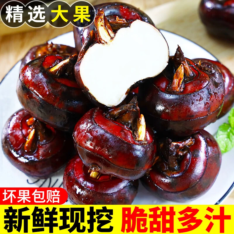 包邮现挖带泥马蹄大果广西桂林当季整箱时令新鲜水果蔬菜脆甜荸荠