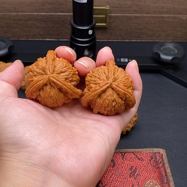 范***使把件文玩核桃白奔