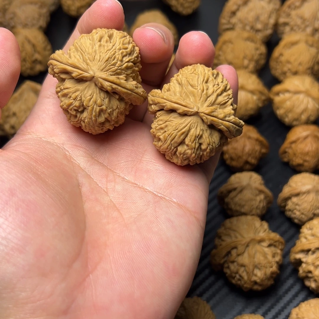 文玩核桃把件白狮子41