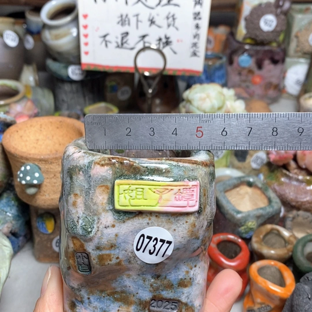 花盆拍3送一个小礼物